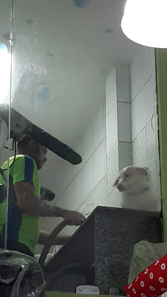 Foto 2 Animaleria Pet Shop