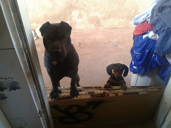 Auto Pecas e Mecânica Na Hora