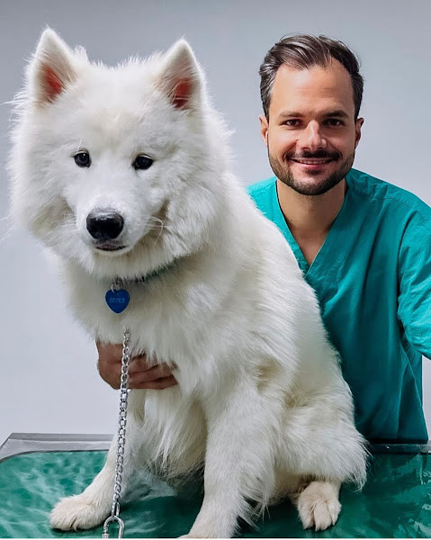 Foto 1 Qualipet: Veterinária, Pet Shop, Banho e Tosa, Brasília DF