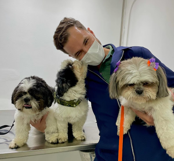 Foto 4 Qualipet: Veterinária, Pet Shop, Banho e Tosa, Brasília DF