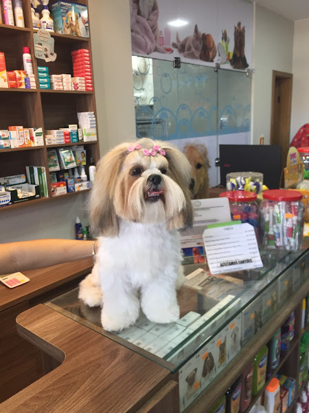 Foto 2 Pet shop Animal.com