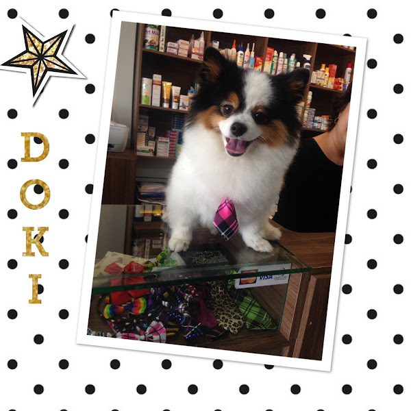 Foto 3 Pet shop Animal.com