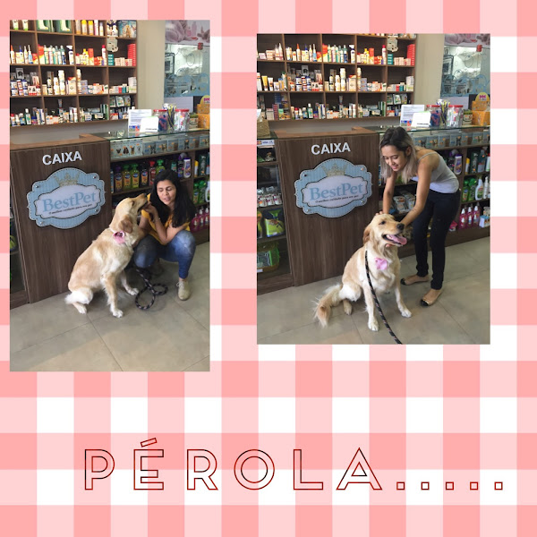 Foto 4 Pet shop Animal.com