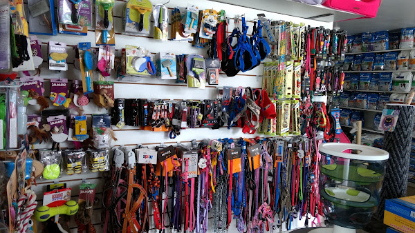 Foto 4 Pet Capital | Asa norte