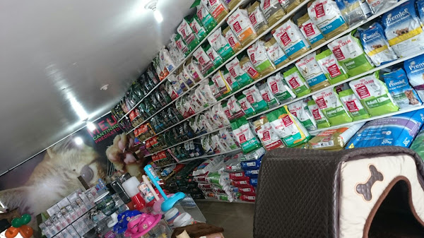 Foto 6 Pet Capital | Asa norte