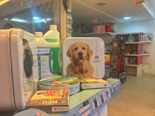 Foto 2 Mascote Brasilia