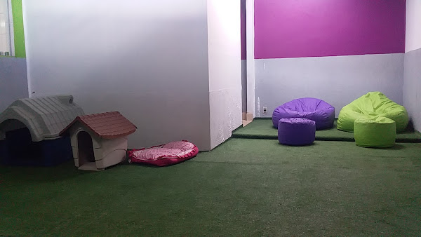 Foto 4 Mascote Brasilia