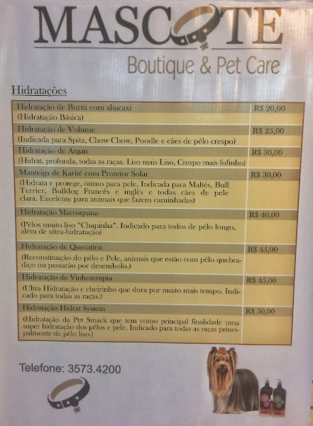 Foto 5 Mascote Brasilia