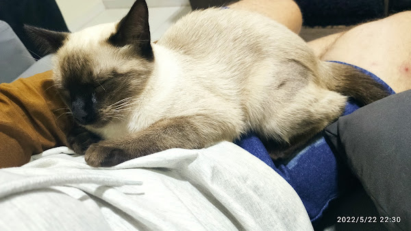 Elegance Pet Shop Elegance Pet Shop