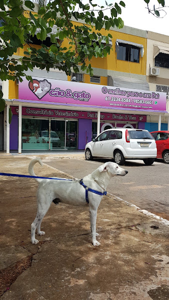 Cão e Gato Pet Shop