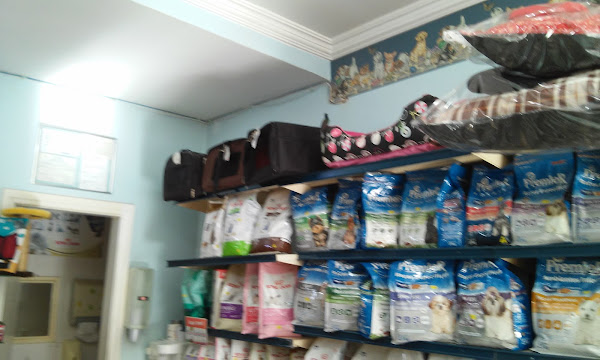 Foto 1 Pet Shop Bicho Amigo