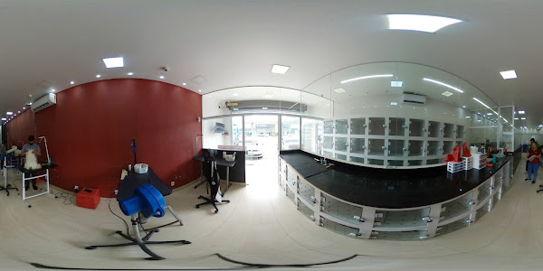 Foto 3 PET SHOP GAMA