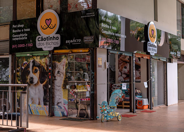 Cãotinho dos Bichos Cãotinho dos Bichos