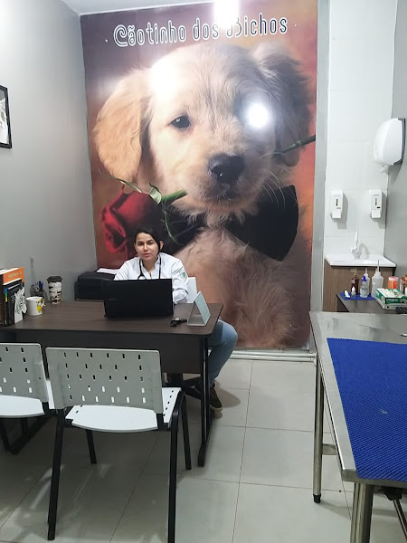 Foto 1 Cãotinho dos Bichos