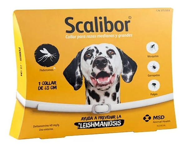 Foto 3 Cãotinho dos Bichos