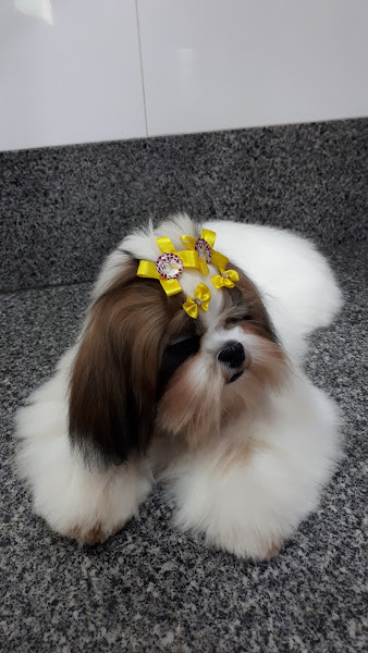 Foto 2 Pequenas Patas - Pet Shop