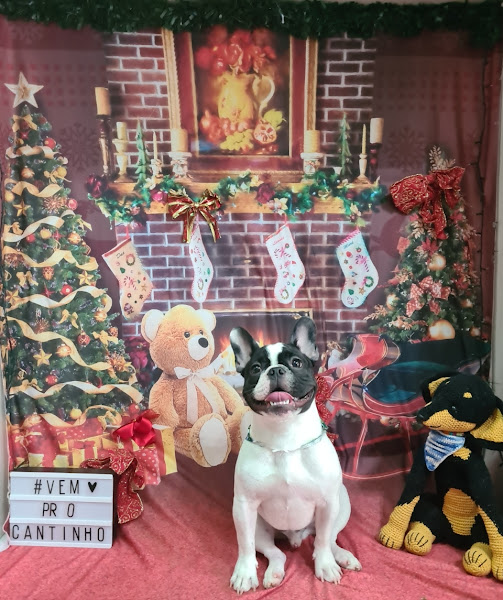 Foto 2 Cantinho do Banho Pet Shop