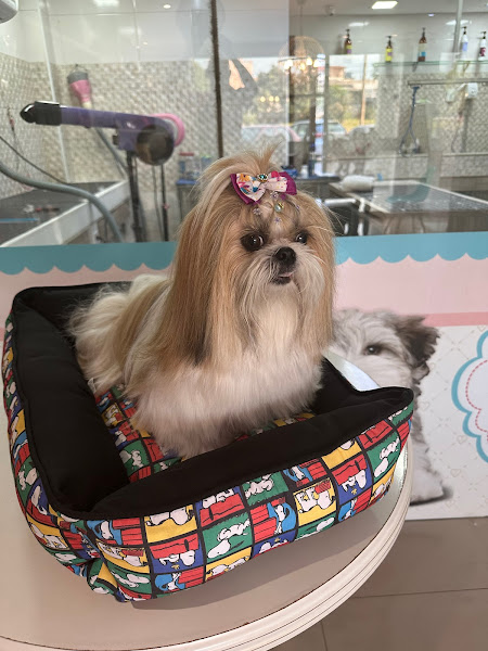 Foto 2 Pethiê Boutique Animal