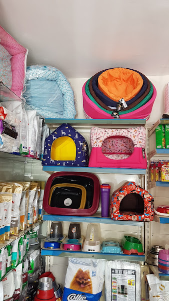 Foto 2 A Bela e a Fera