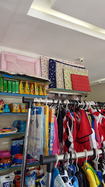 Foto 3 A Bela e a Fera