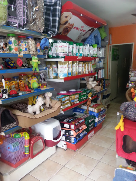 Foto 4 A Bela e a Fera