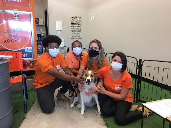 Foto 1 Turma do Banho Petshop