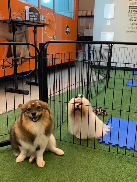 Foto 2 Turma do Banho Petshop