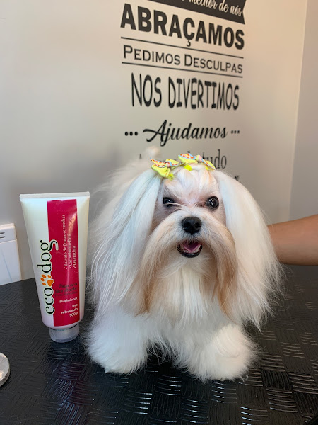 Foto 3 Turma do Banho Petshop