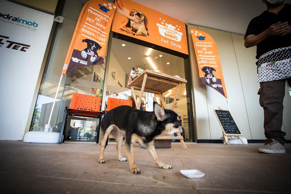 Foto 4 Turma do Banho Petshop