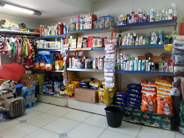 Foto 1 Amigo Meu Veterinária