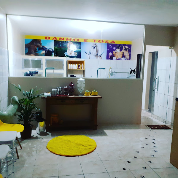 Foto 1 Pet Shop Fashion Dog