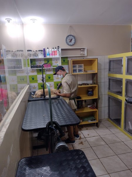 Foto 5 Pet Shop Fashion Dog