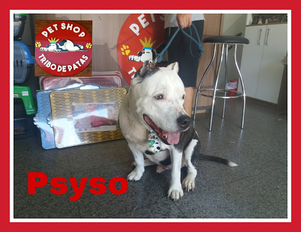 Foto 5 Pet Shop Tribo de Patas