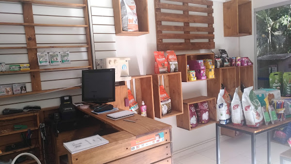 Foto 4 Focinho Feliz - Banho e Tosa Asa Norte