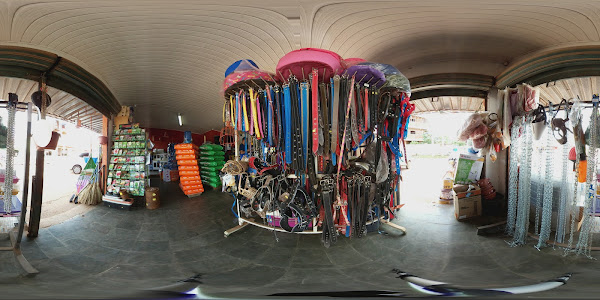 Foto 1 Pet Shop Terra