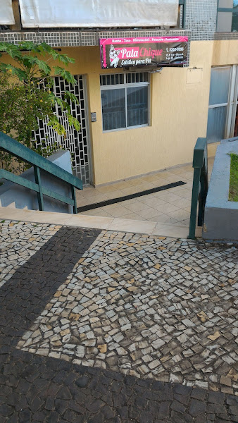 Pata Chique Estética para Pets Pata Chique Estética para Pets