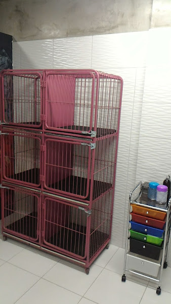 Foto 1 Pata Chique Estética para Pets