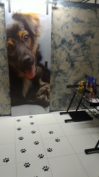 Foto 3 Pata Chique Estética para Pets