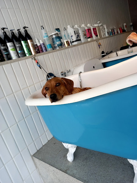 Foto 1 Docg. Brasília