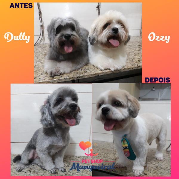 Foto 2 Pet Shop Mangueiral