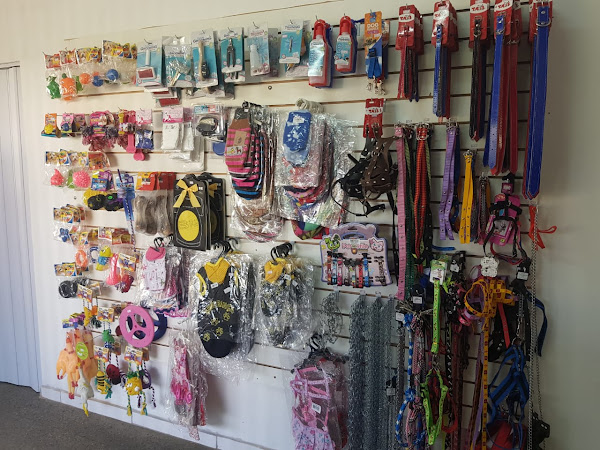 Foto 2 Pet Shop Premium Taguatinga QNL