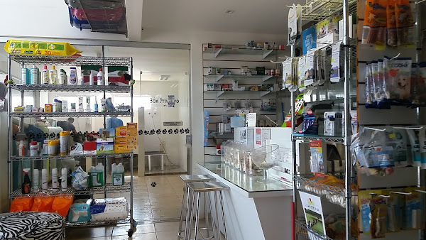 Foto 6 Casa Pet Saúde e Estética Animal