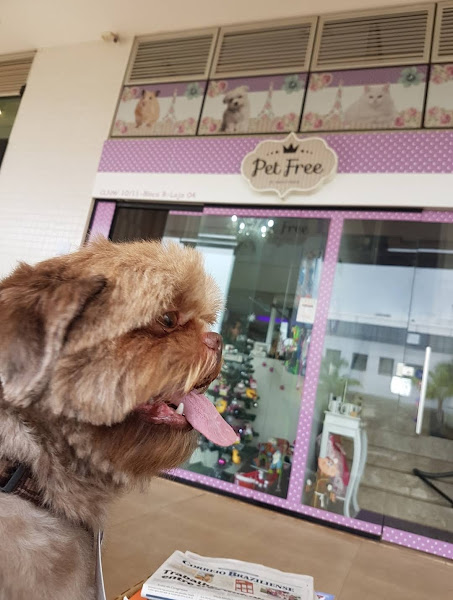 Pet Free Noroeste Pet Free Noroeste