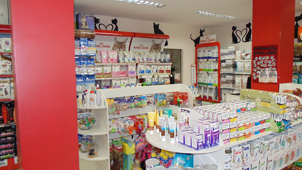 Foto 5 Armazém do Gato