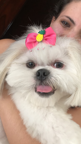 Foto 2 Pet Shop Guará