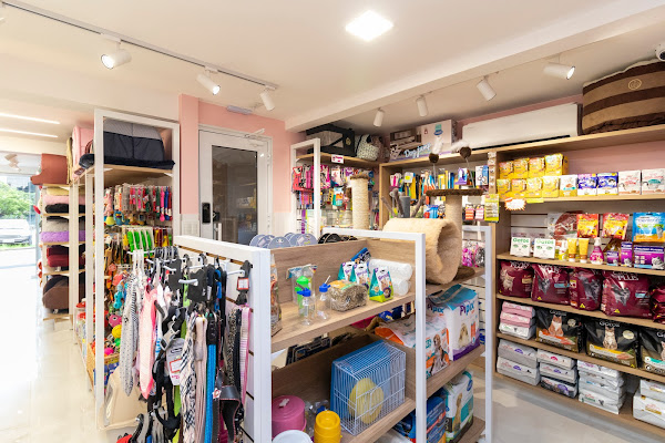 Personal dog Personal dog