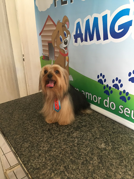 Foto 3 Pet shop Amigão