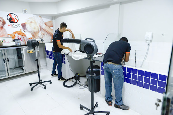 Foto 6 BsBichos Pet Care