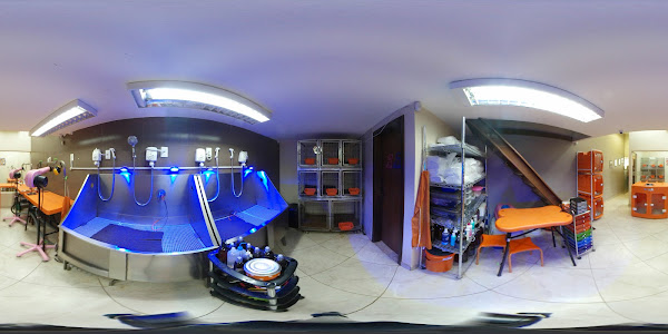 Foto 1 In Dog We Trust Pet Boutique