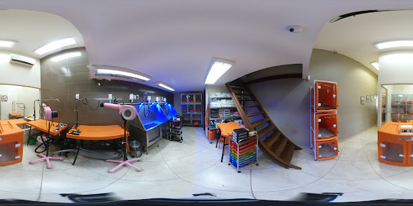 Foto 3 In Dog We Trust Pet Boutique